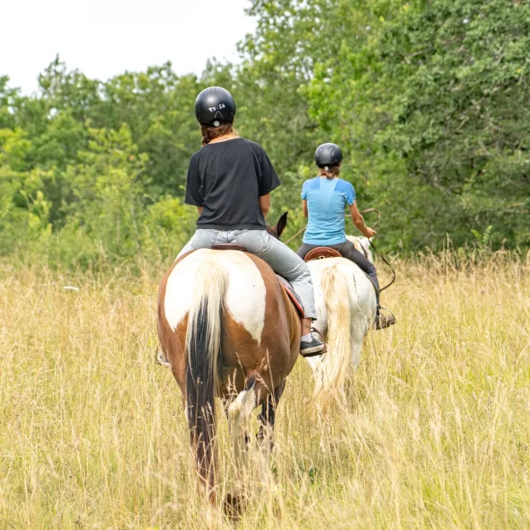 Balade à cheval