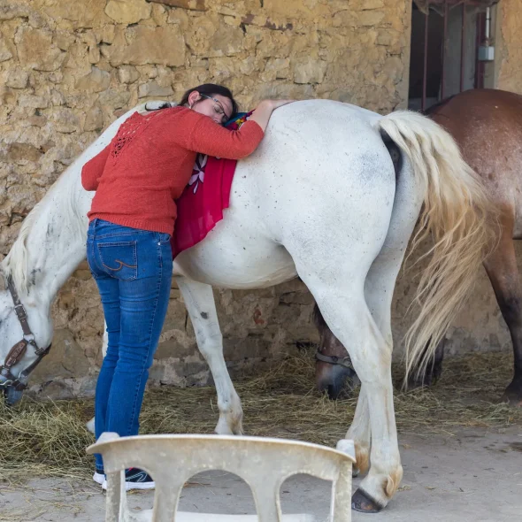 Séance d'équi-coaching