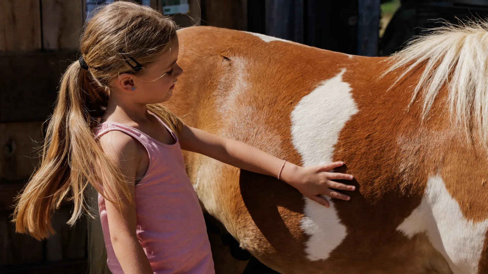 Expérience à vivre avec les chevaux