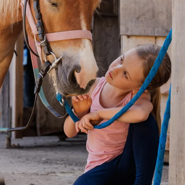 Enfant qui s'occupe d'un poney