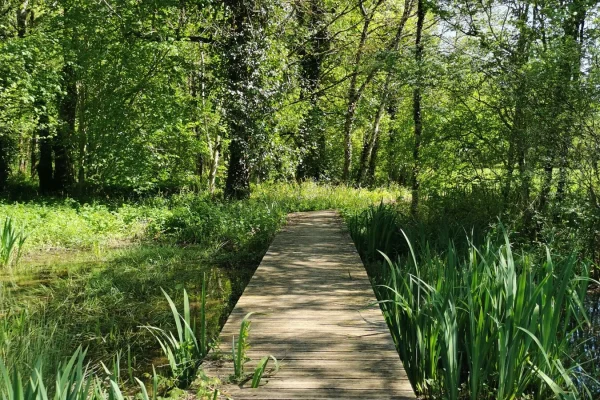 Sensitive Natural Area of ​​the Borie moorland