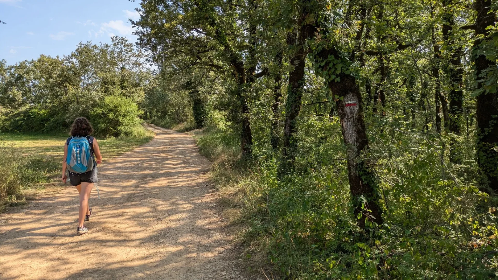 Randonnée sur le causse