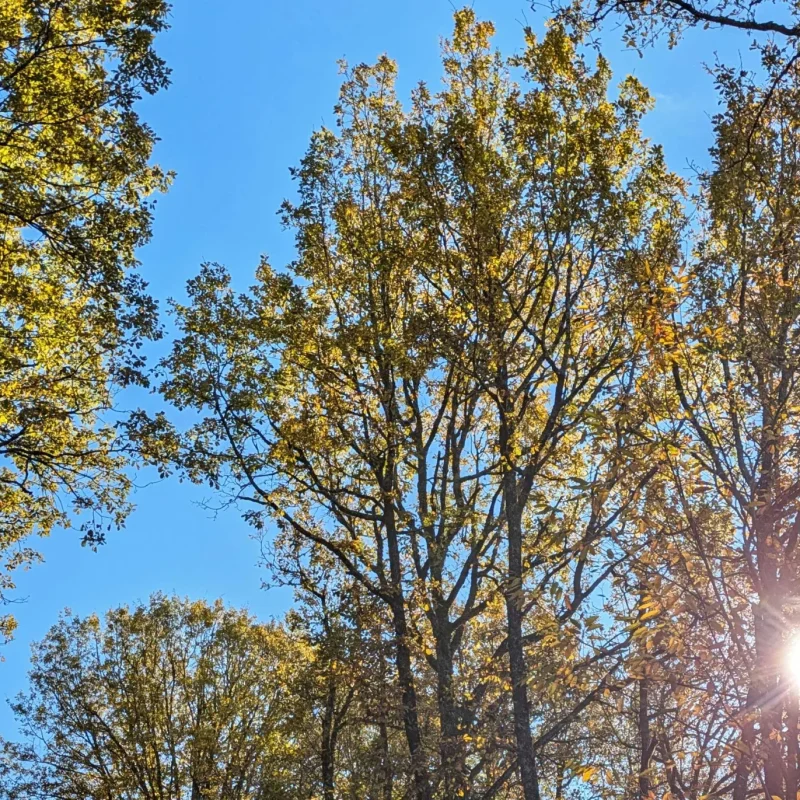 Automne en Aveyron