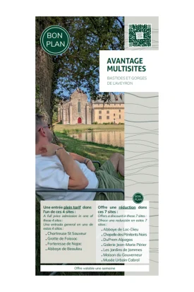 Bon plan – Avantage Multisites