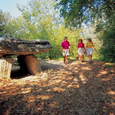 Les dolmens