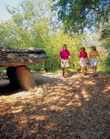 Les dolmens